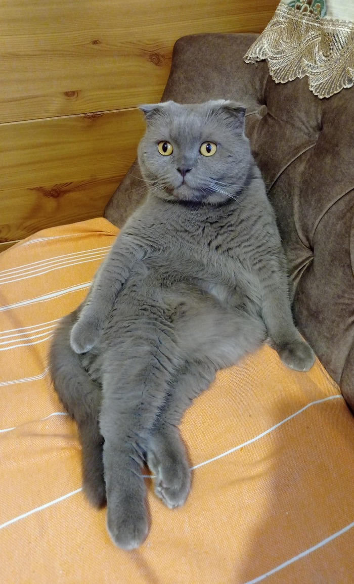 �� ������� � ����,�� ��� ����� ���������)