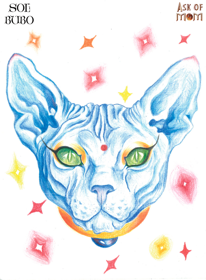 �������  � ���� �������