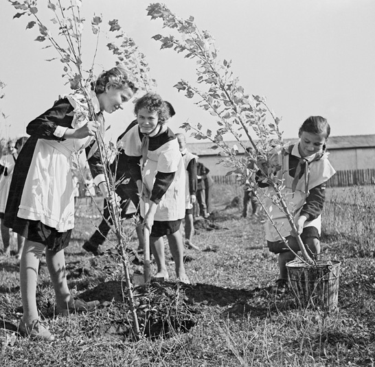 День создания юннатского движения