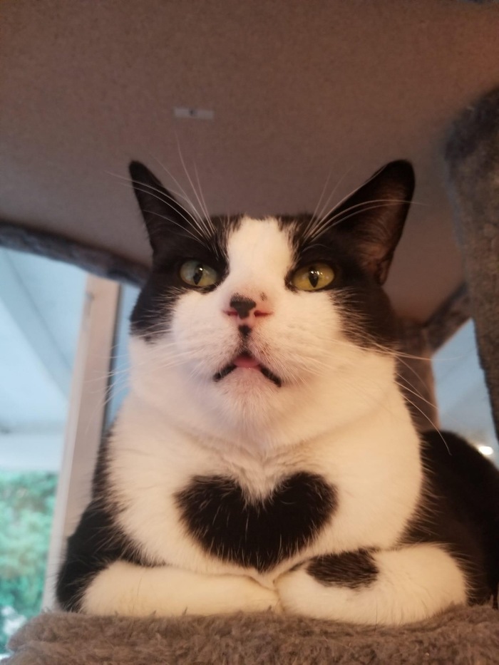 ��������� ����