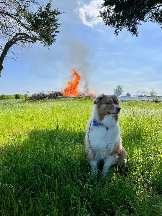 This is fine  , , , , , , 