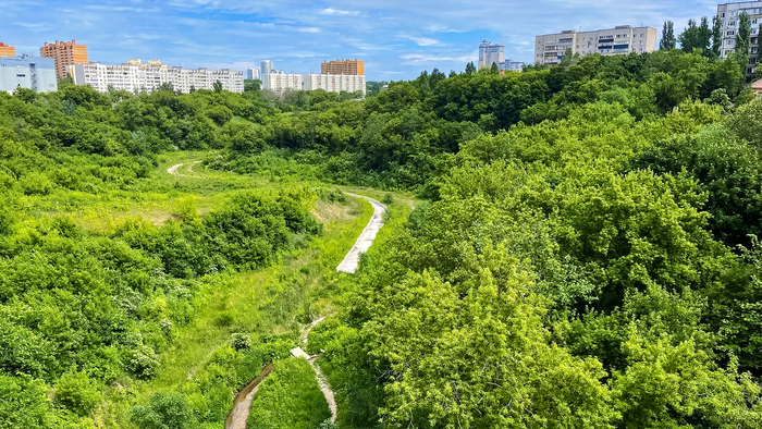 Дорога домой