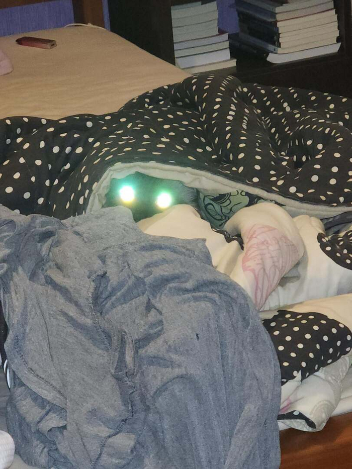   ,  , ,  