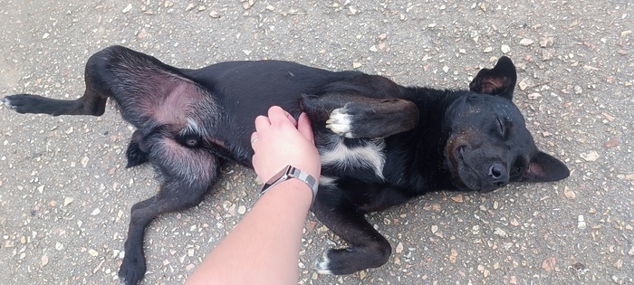 ��� �������� �������������