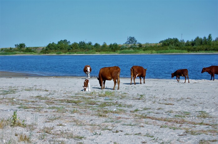 У хутора Пухляковский