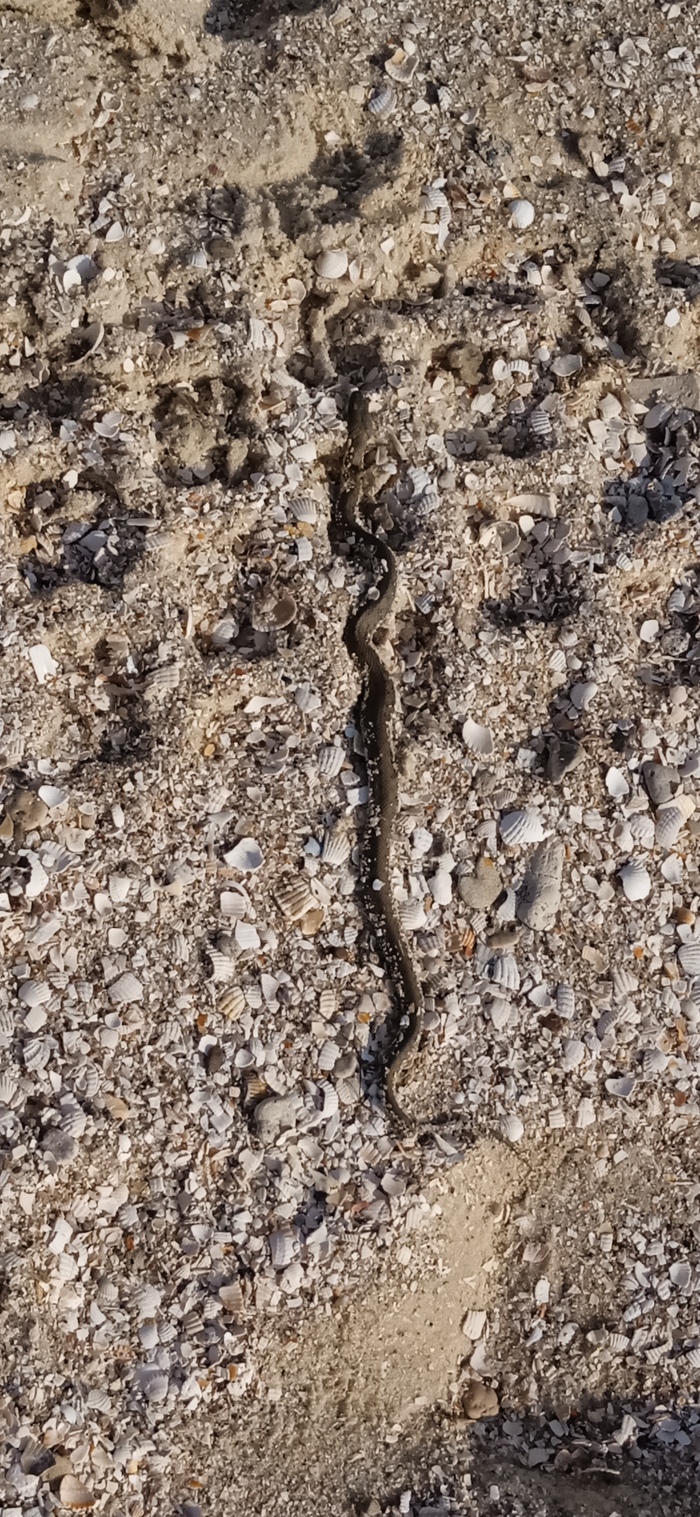 ���� �� �����