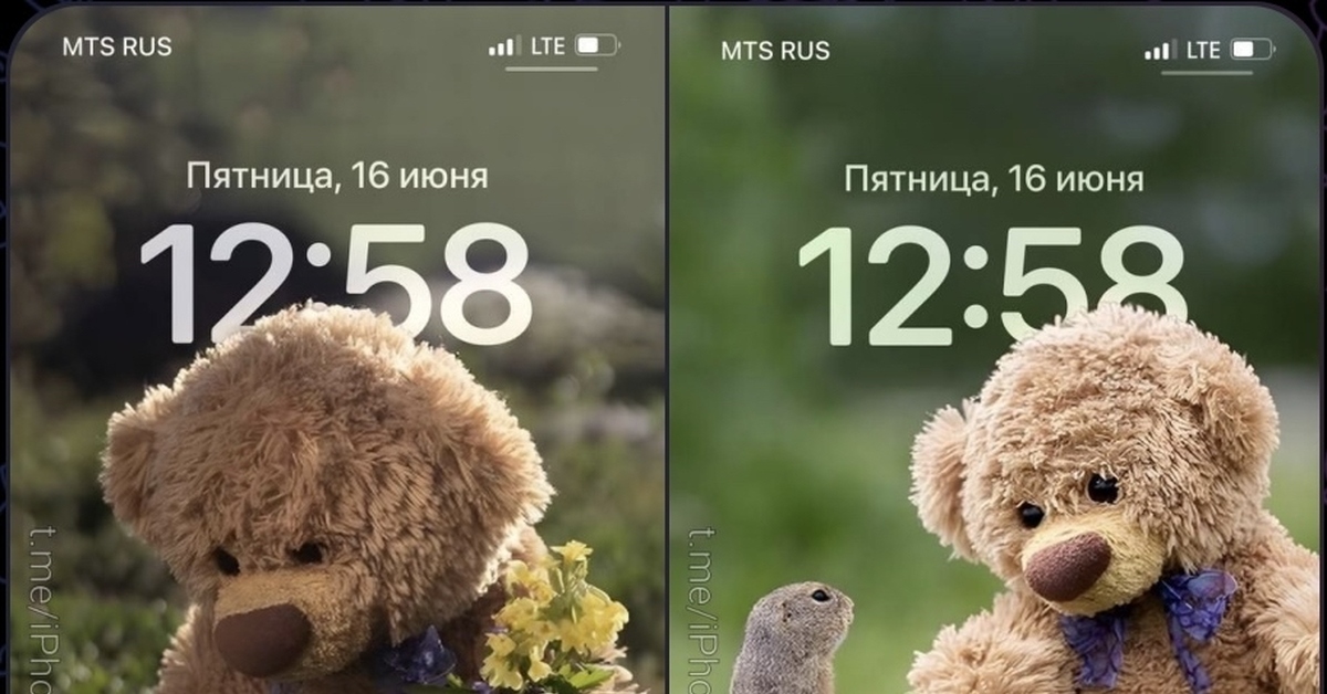 Travelling Teddy | Пикабу