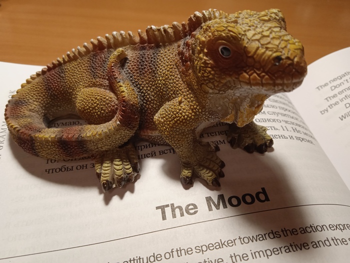 ������, ���� ��� ���������. ������� � ��������� � �������