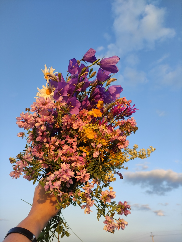 ���� �����