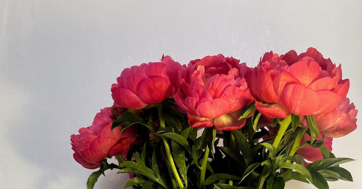 Самое красивое издание Калевала | Пикабу