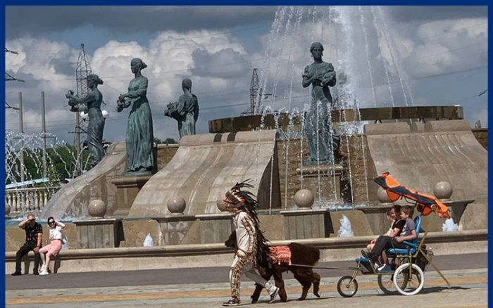 О бедной альпаке замолвите слово