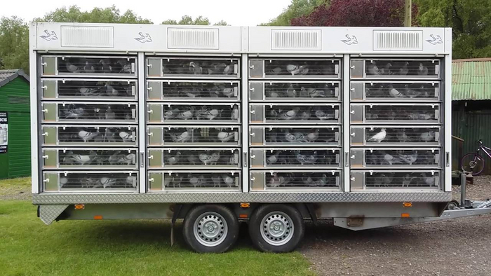 Что это за штука - 182 Перевел сам, Reddit, WhatIsThisThing, Видео, YouTube, Длиннопост Что это за штука - 182 Перевел сам, Reddit, WhatIsThisThing, Видео, YouTube, Длиннопост