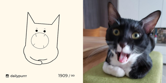 ����� ���������, ��� ������� ������ ��������� �������