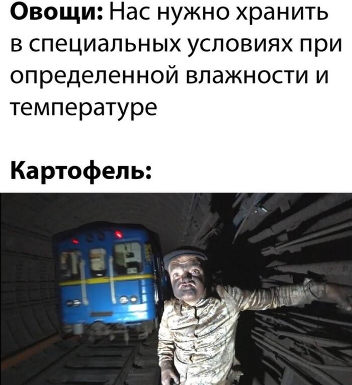 Картошка | Пикабу