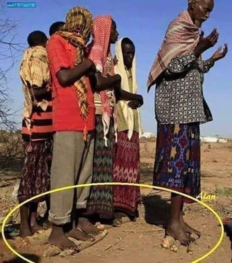 Не жалуйтесь на жару!