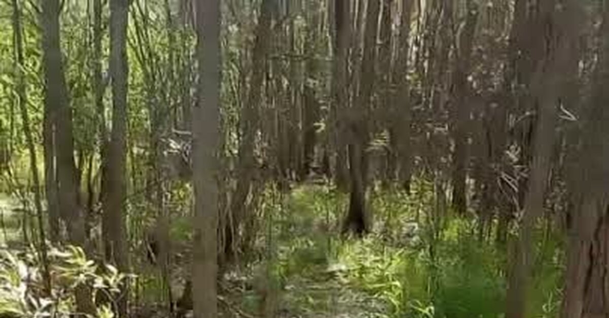 Люди, берегите природу! | Пикабу