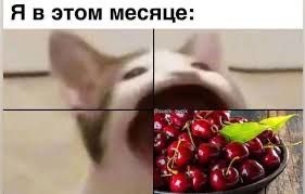 ����� ������� ����������� ���������� �������� ���� ������� � ����� � �����