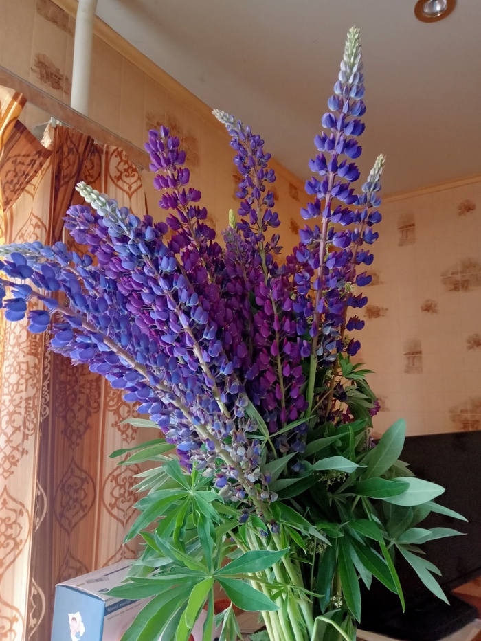 День рождения