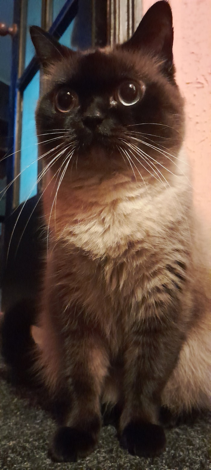 ����� ����?