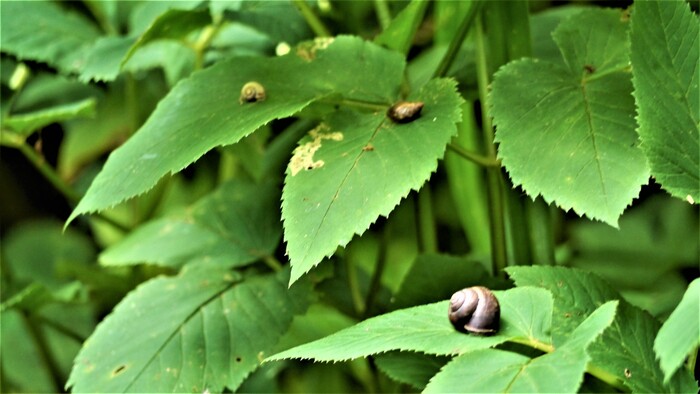 Медленно но верно | Пикабу