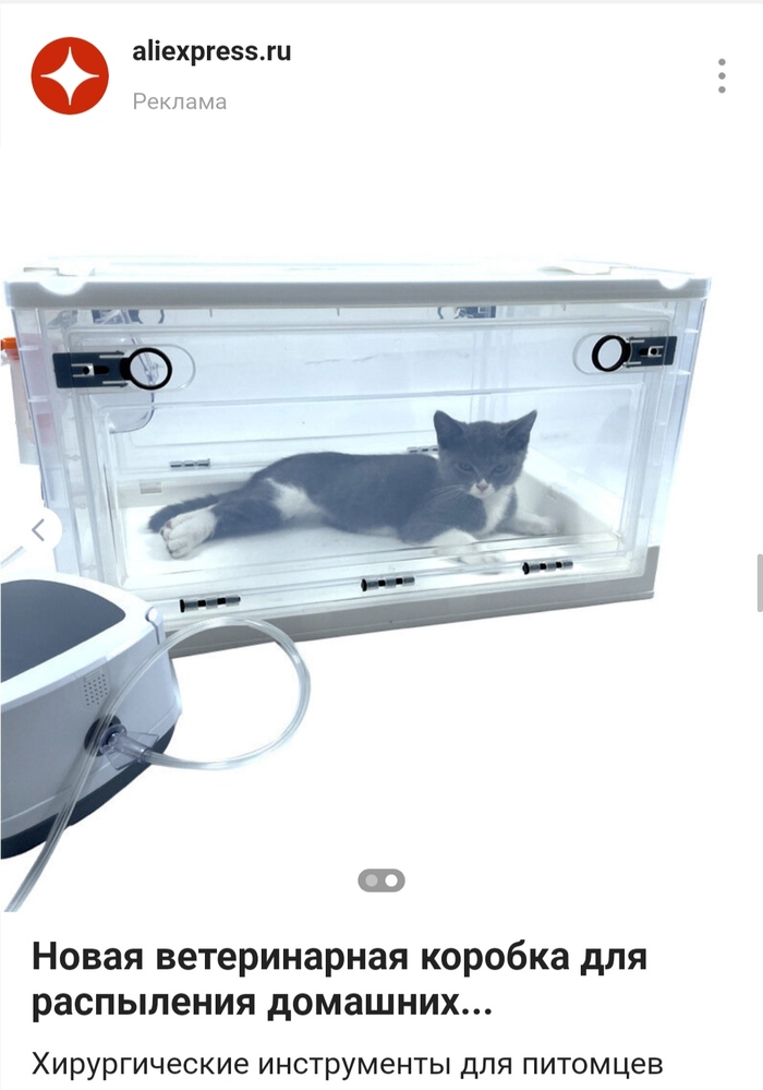 ������ ����������