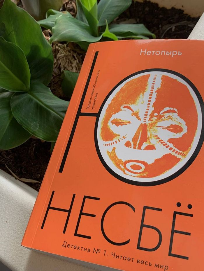 ����� ������������ �������� ������ ������