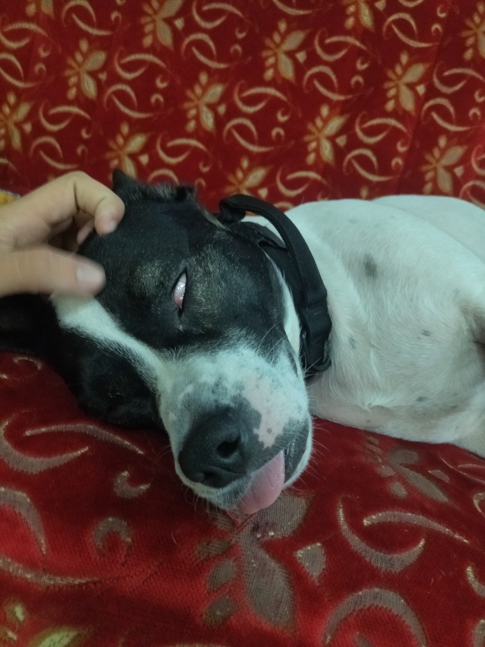 ���� � ����� �������� ���