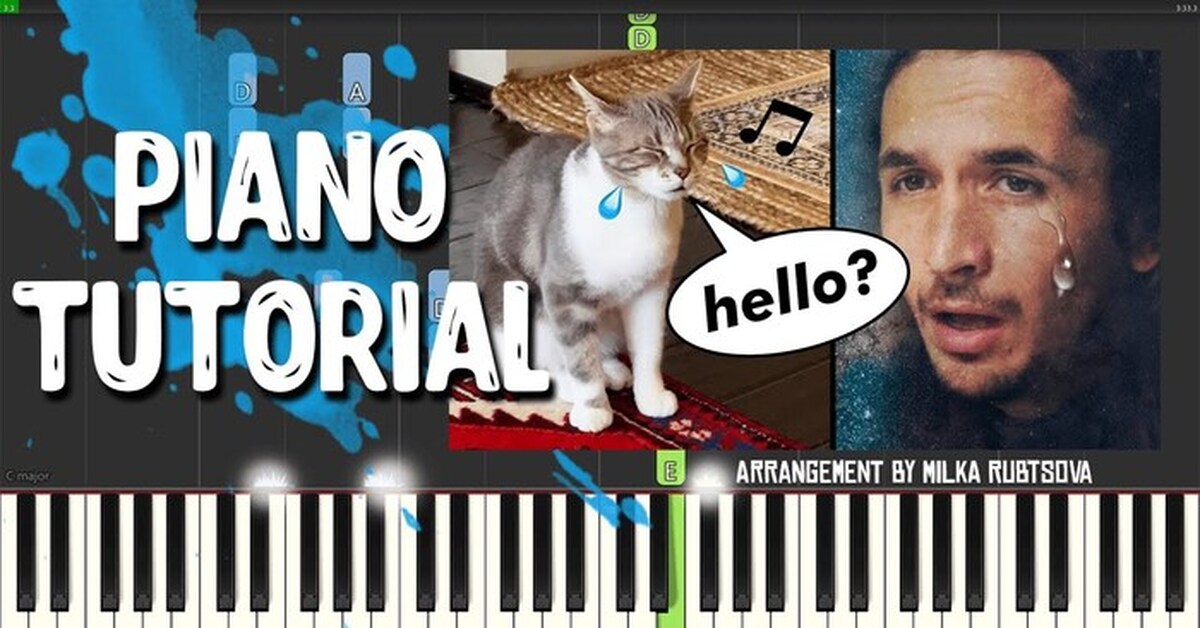 The kiffness фото. Kiffness sometimes alone. Kiffness sometimes alone. The kiffness южноафриканский музыкант. Котёнок в колодце песня.