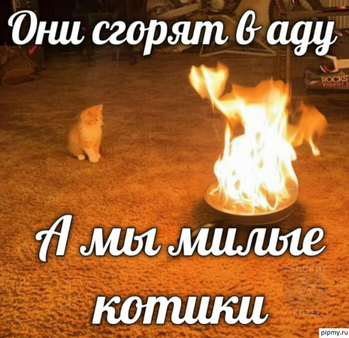 ��������?