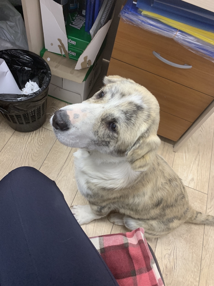 ��� ������