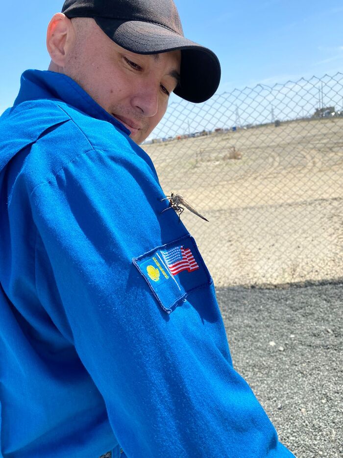 Фото с работы. Инжене(г)р HVAC (TCO) и вертолетная площадка для стрекозлища, который словил какую-то букаху