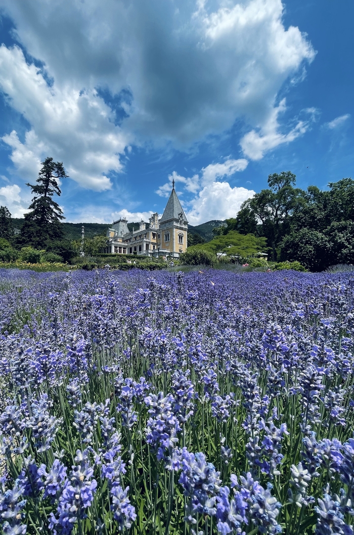 ���������� ��������