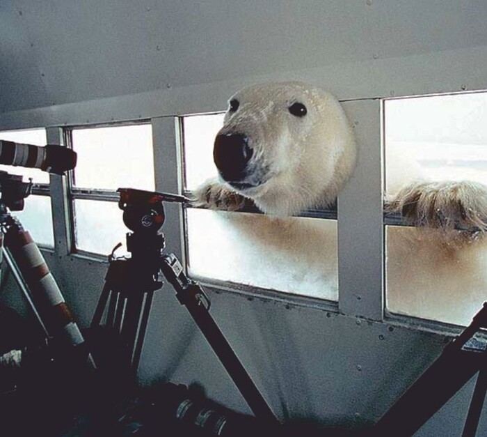 А вот и моё фото с работы