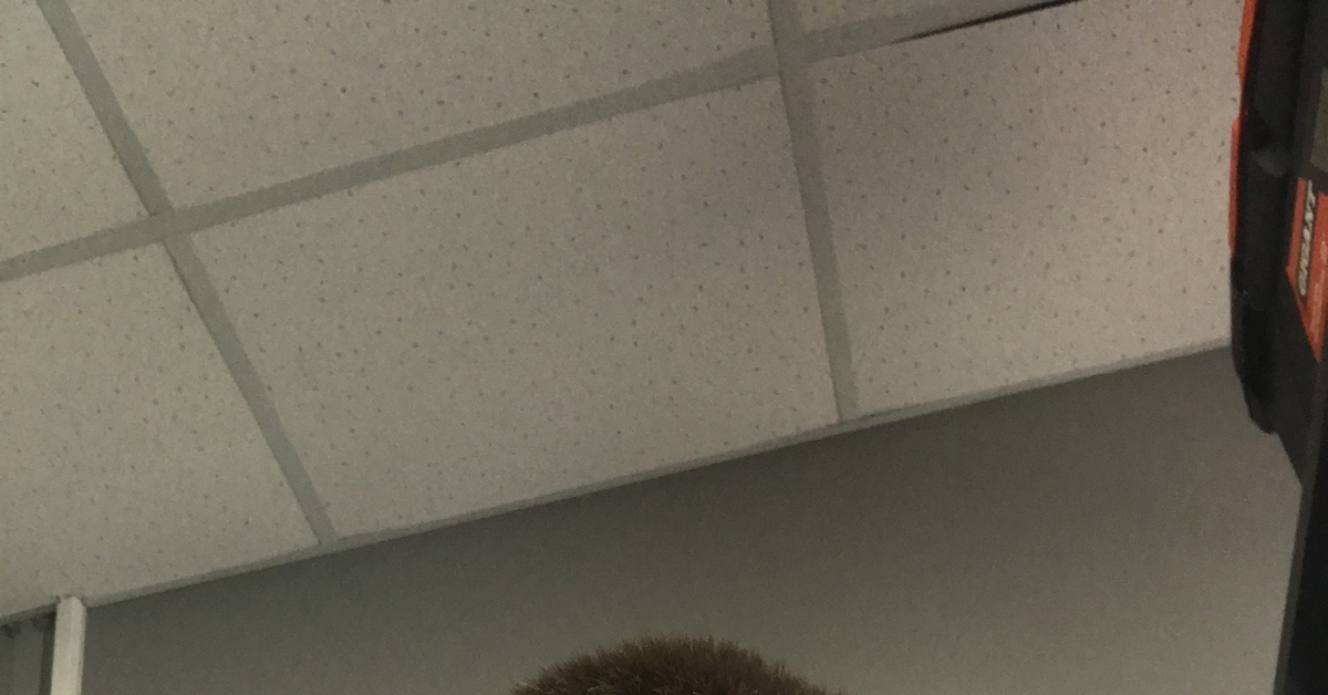 Моя работа! Главный инженер | Пикабу