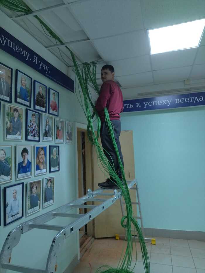 Ну, а я универсал | Пикабу