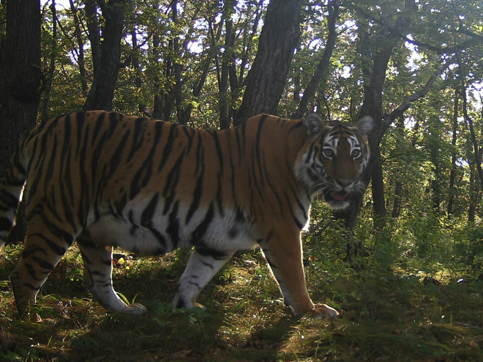 Что нам ветер, что нам зной, что нам дождик проливной