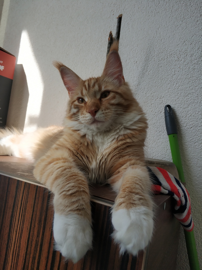 , ,   , -,  