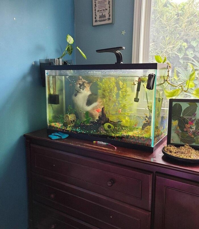 Четверг - рыбный день