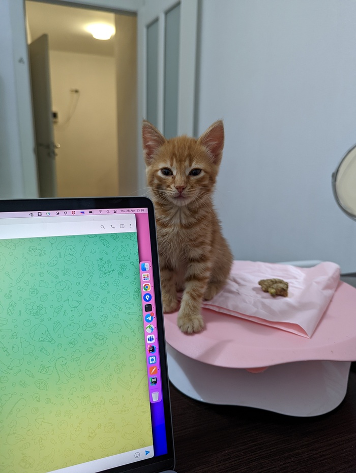 �� � � ��� ��� ������