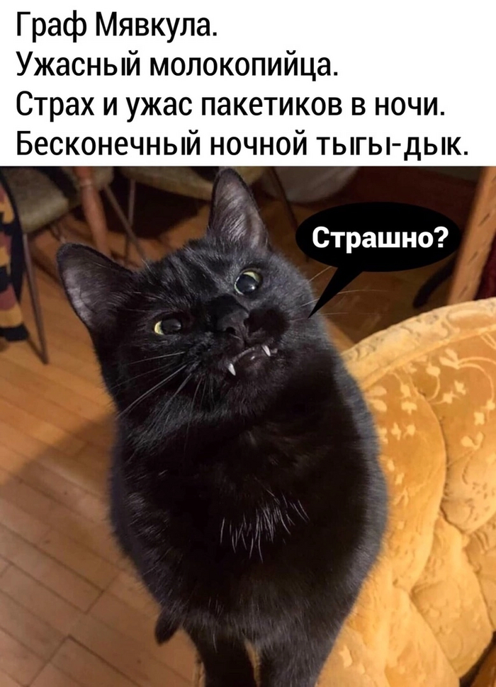 � ������ ���� �������)