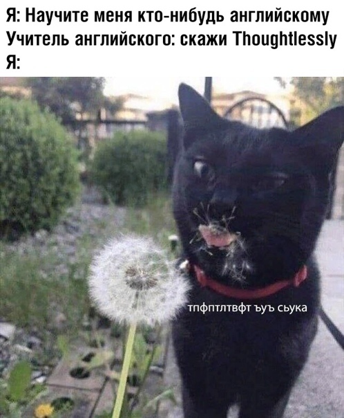 Ответ на пост «Всё дело в произношении»