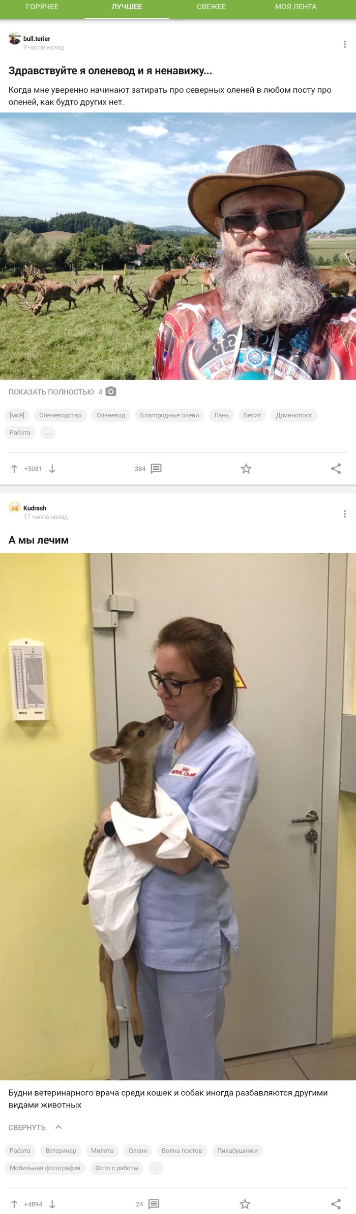 ��� � �����������