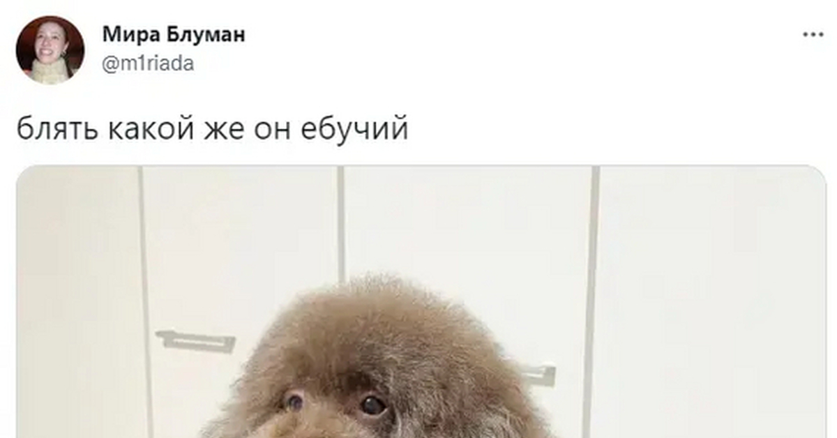 Какой же он... | Пикабу