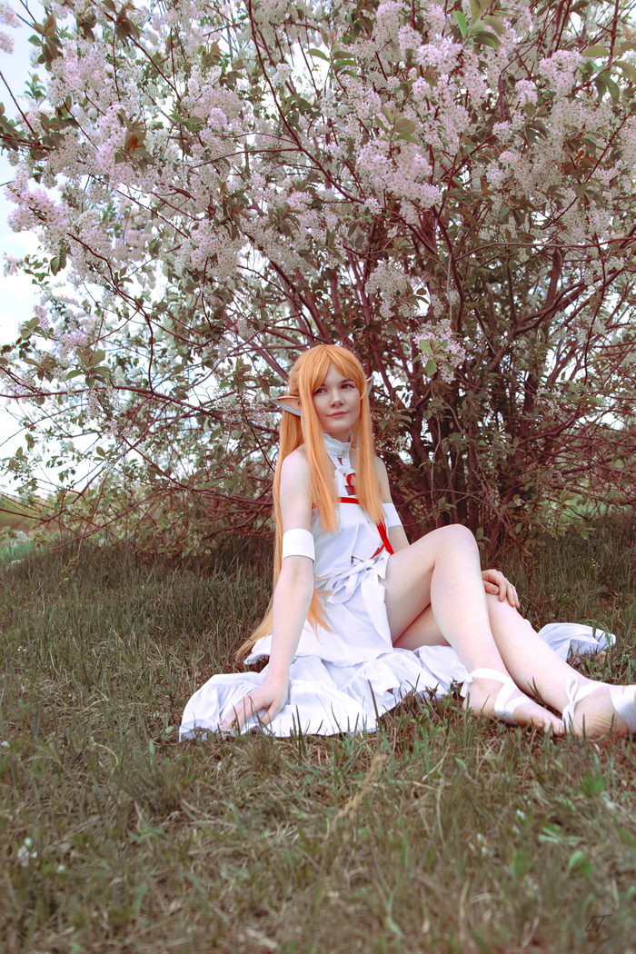   , , Sword Art Online, Yuuki asuna, 