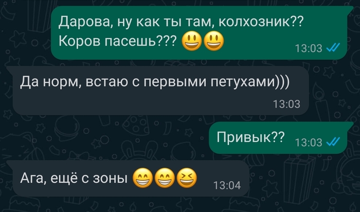 Хорошо в деревне летом...