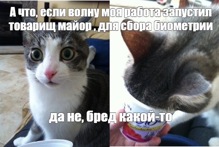 � ���, ����