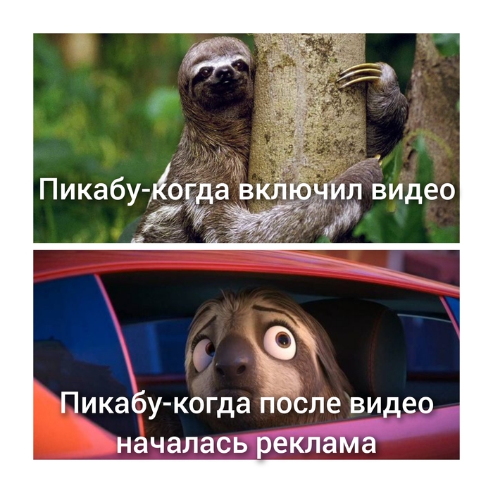 Приоритеты Пикабу, Реклама, Баг