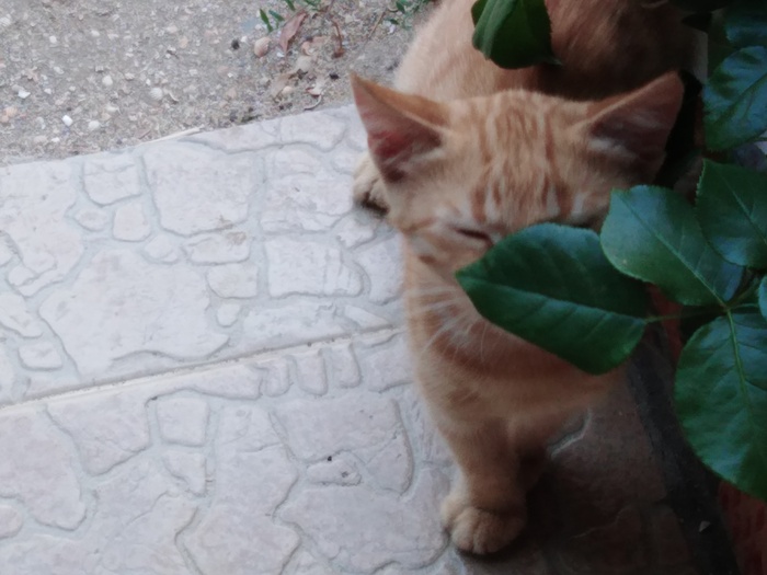 30 ���� 2019 ����,� ��������� ���� ��������� ���������