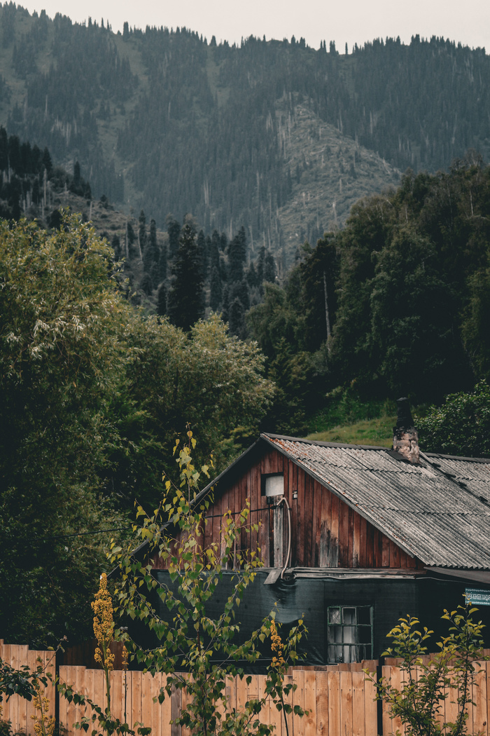 � �������� ����� ����� ��������� ���...