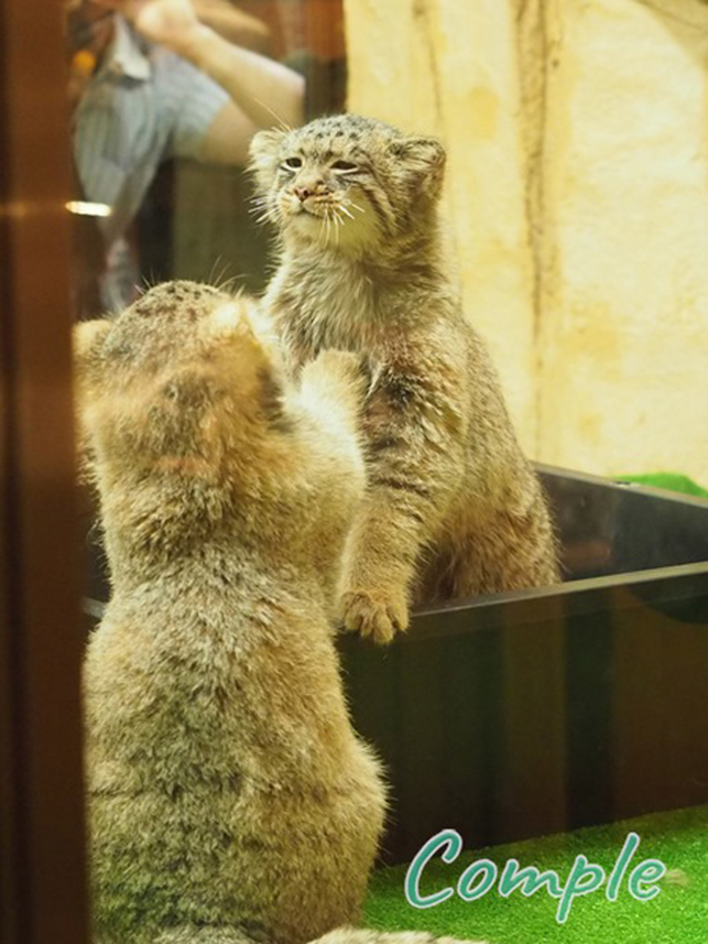 ����... �� ������ ����� ����?